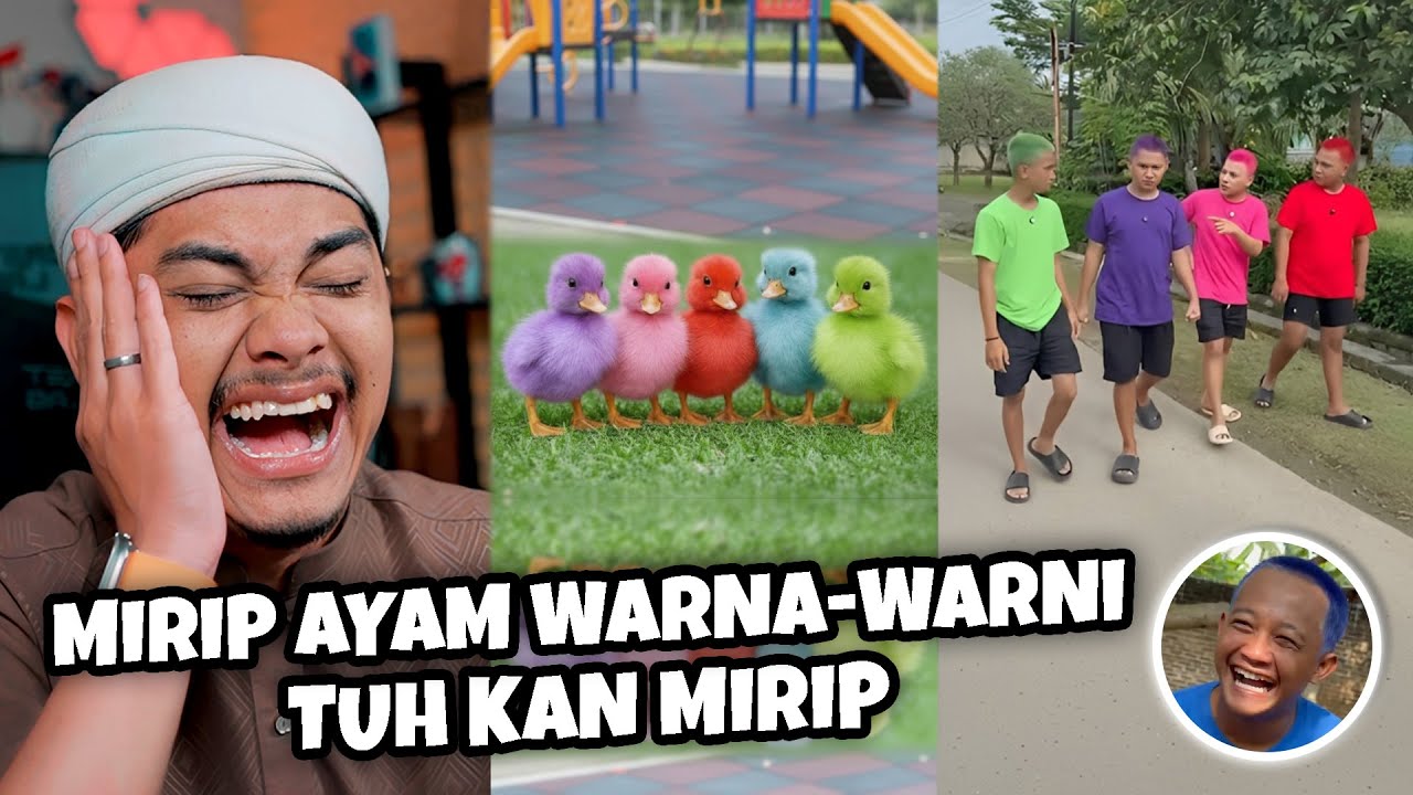 OMPED VISUAL DAN TIM BENERAN BOTAK WARNA-WARNI