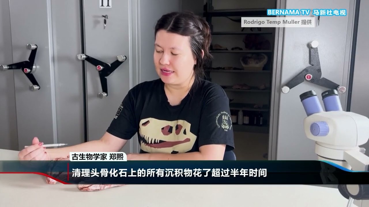20260415 巴西考古领域重大发现 喙形鹦鹉爬行动物化石出土