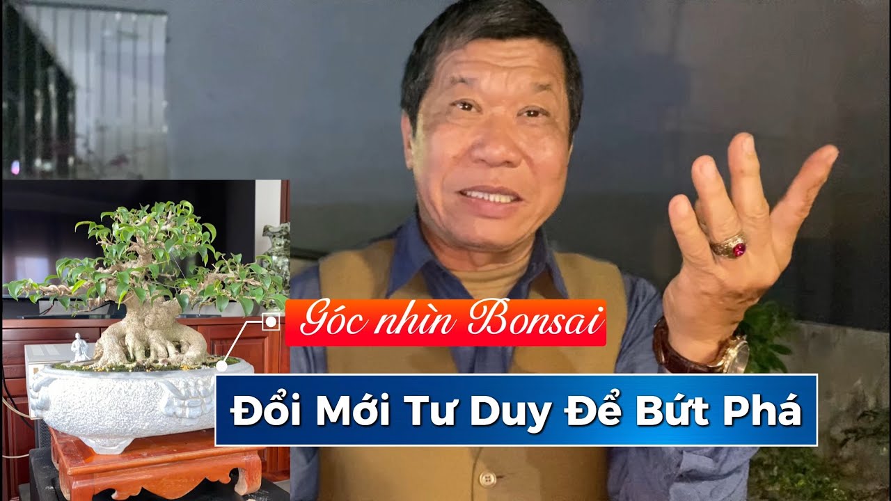 Tư Duy Mở, Đổi Mới Để Bứt Phá Cây Cảnh, Mở Ra Bước Chuyển Mình Mạnh Mẽ.
