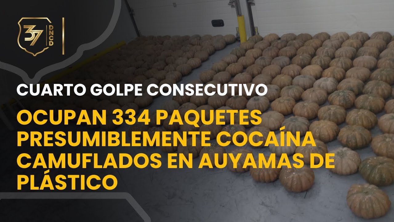 CUARTO GOLPE CONSECUTIVO: OCUPAN 334 PAQUETES PRESUMIBLEMENTE COCAÍNA CAMUFLADOS EN AUYAMAS