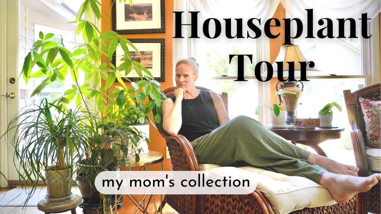 Houseplant Tour:  My Mom's Houseplant Collection 2022