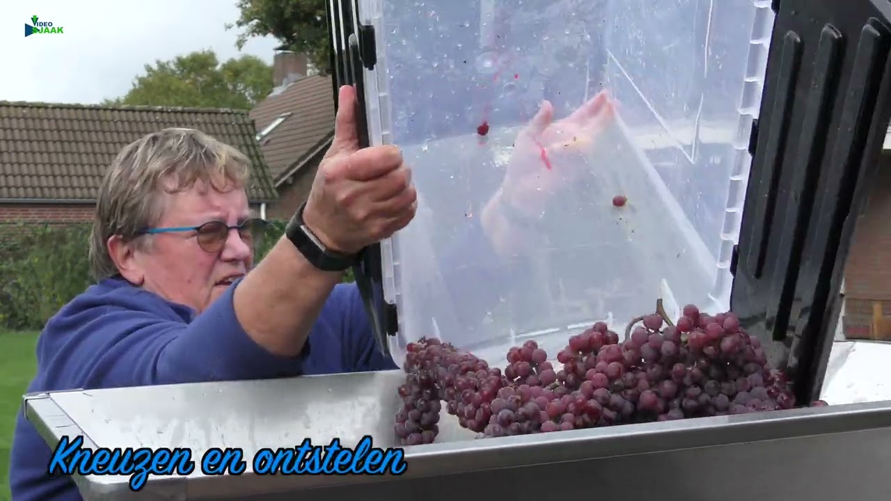 Van Druif tot Wijn