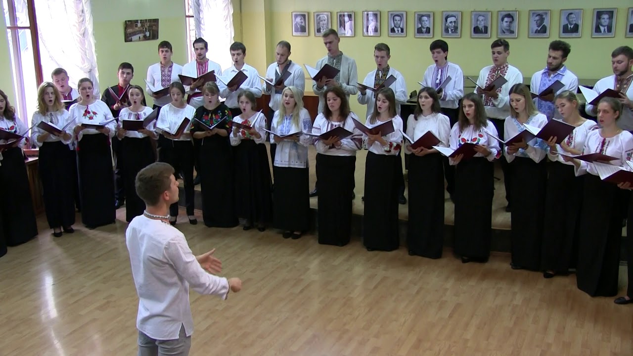 «Піють півні» (Мирослав Дубинецький)