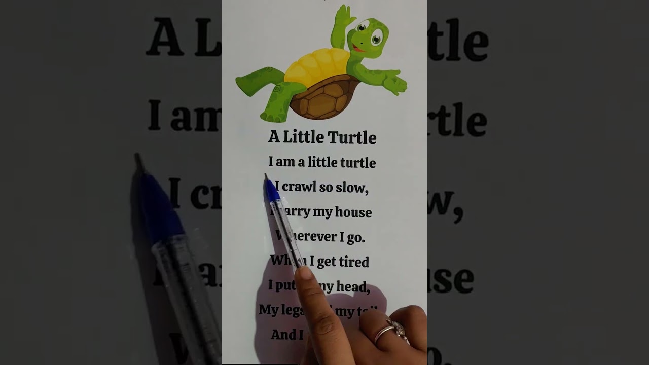 A Little Turtle poem for kids || Short poem