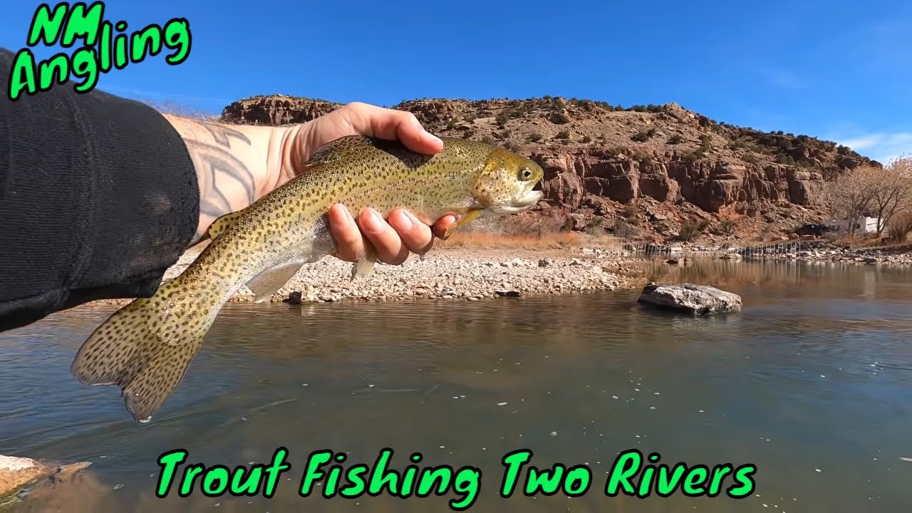 RIO GRANDE & RIO CHAMA TROUT FISHING