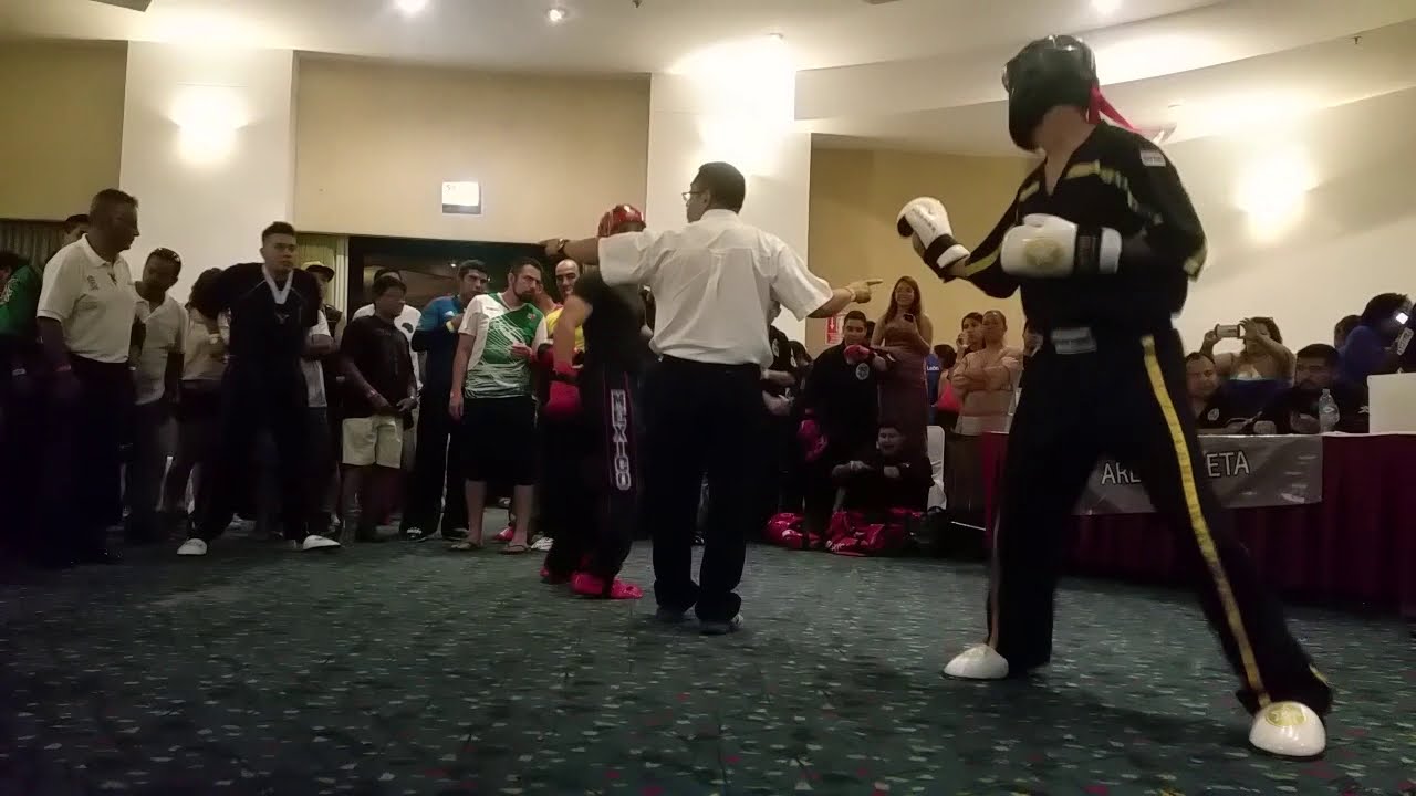 Campeonato Copa Cintas Negras Pelea de puntos point fighting 2016Maestro Sergio Cervantes caretaroja