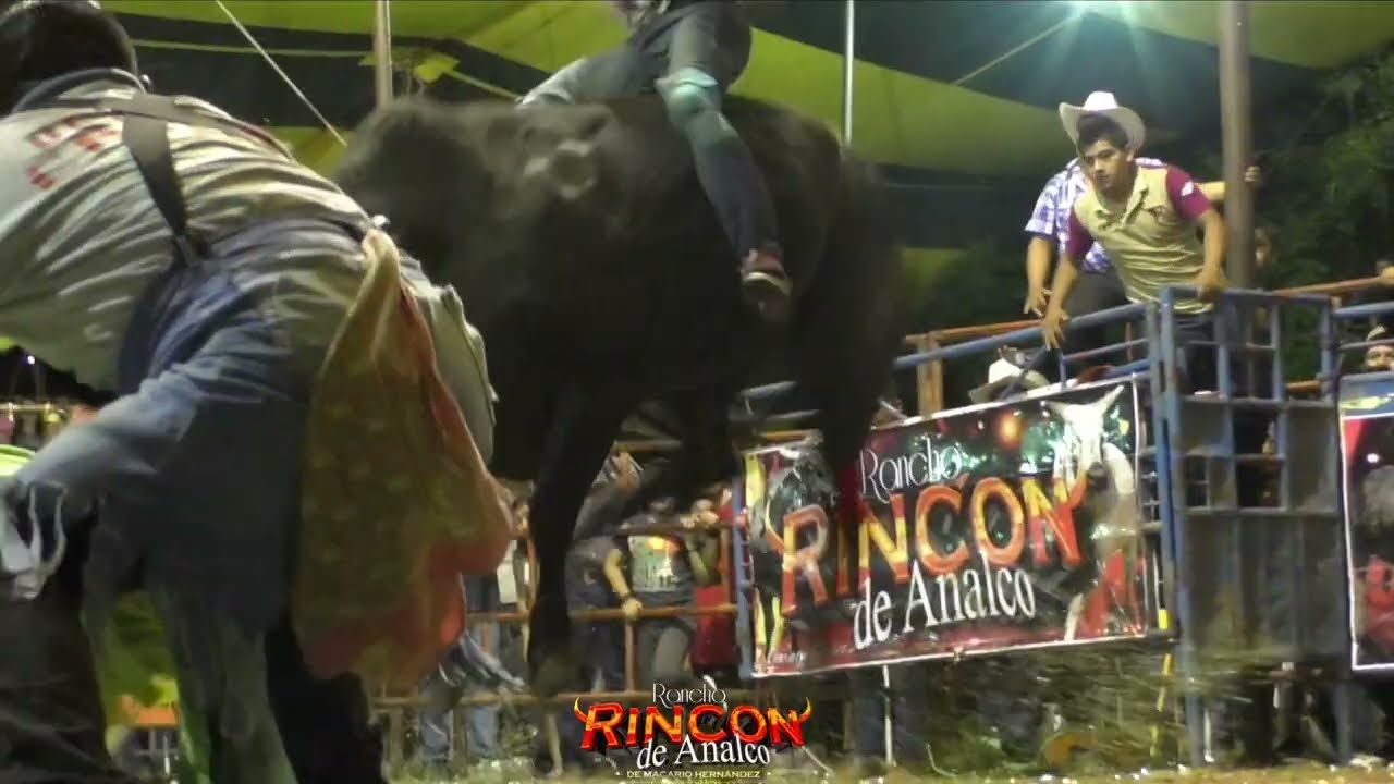 GUADALUPE DE RAMIREZ GRAN JARIPEO DE FIESTA PATRONAL 2025 CON RANCHO RINCON DE ANALCO