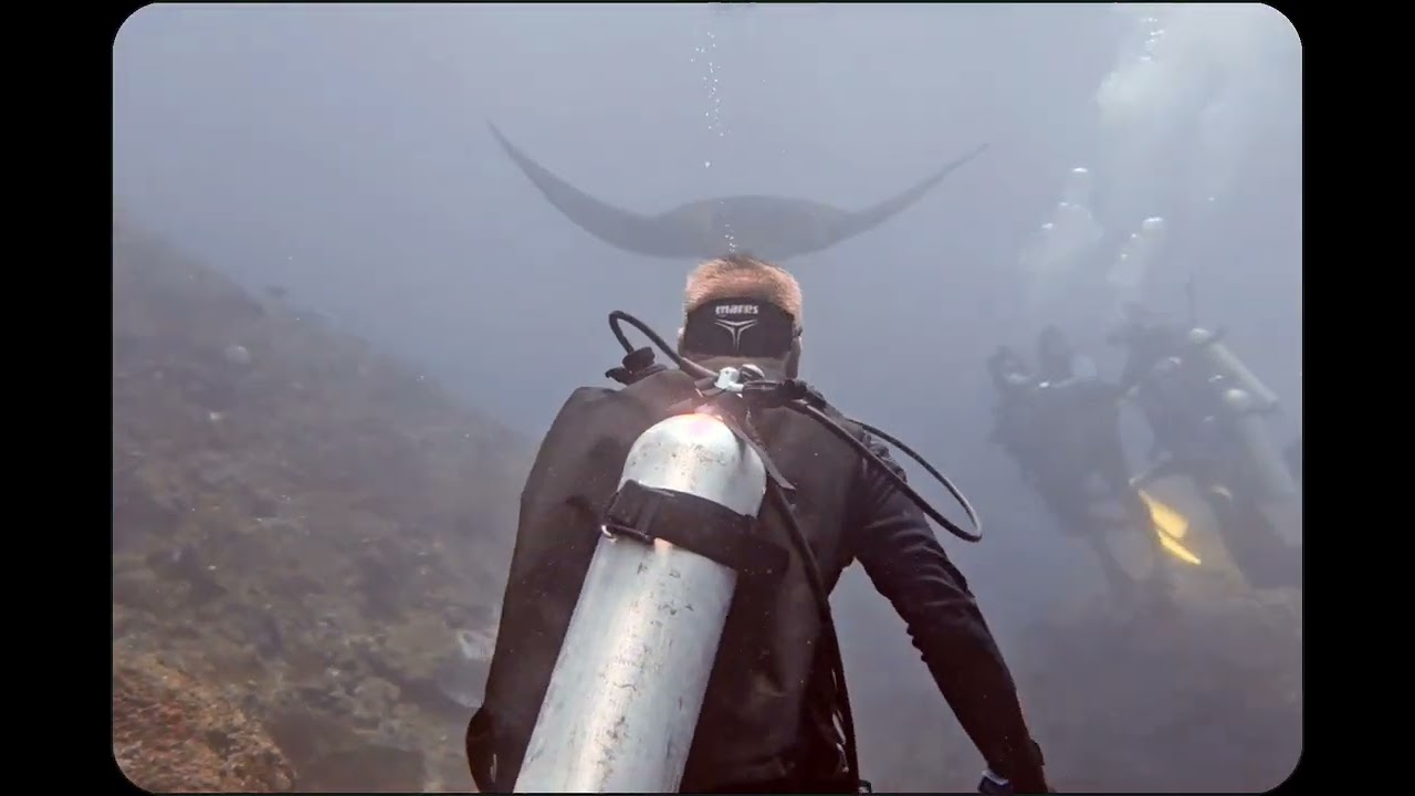Nusa Penida Dive Safari Day Trip