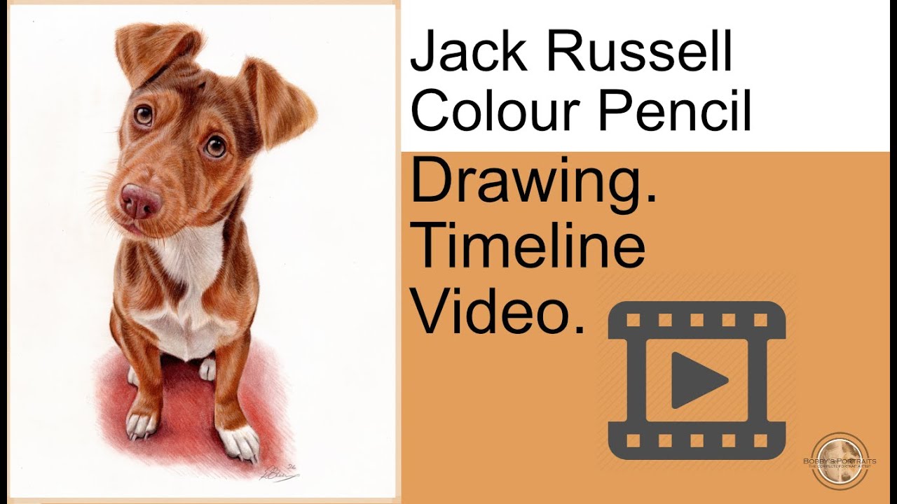 Jack Russell Dog Drawing | Colour Pencil Timelapse | Prismacolor & Derwent Lightfast.