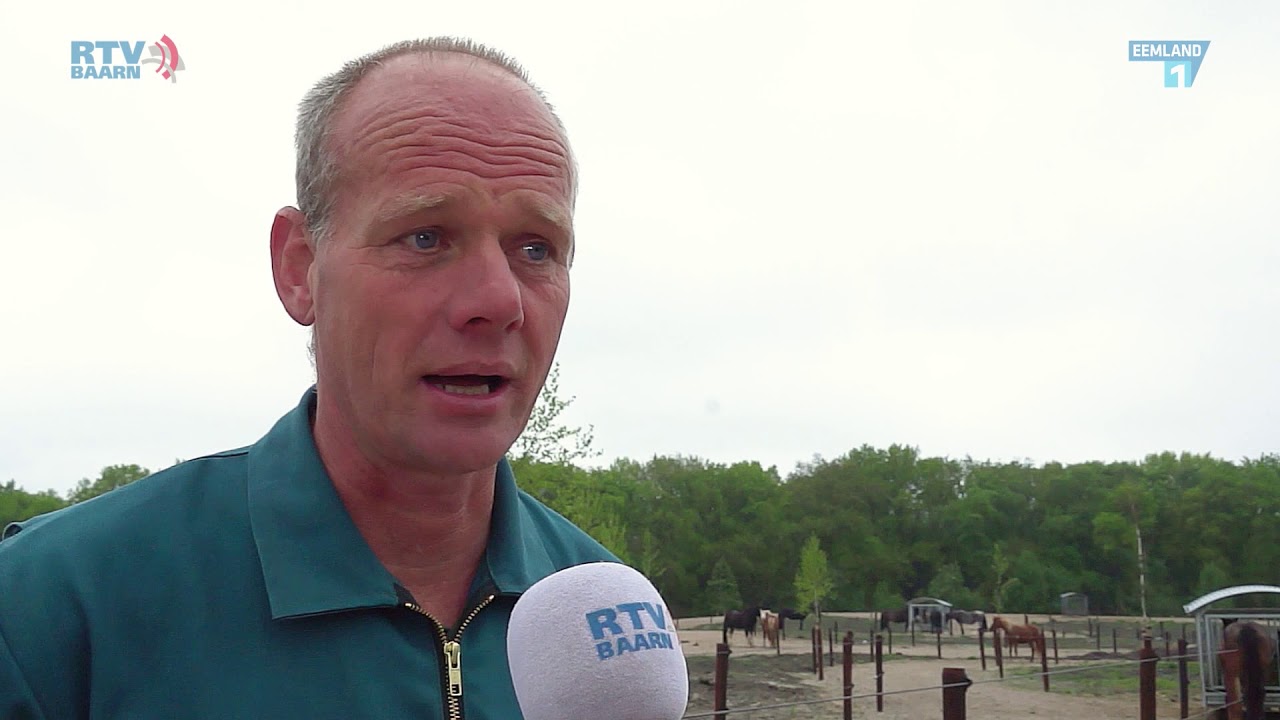 Over Paddock Paradise van paardenkamp Soest    2019