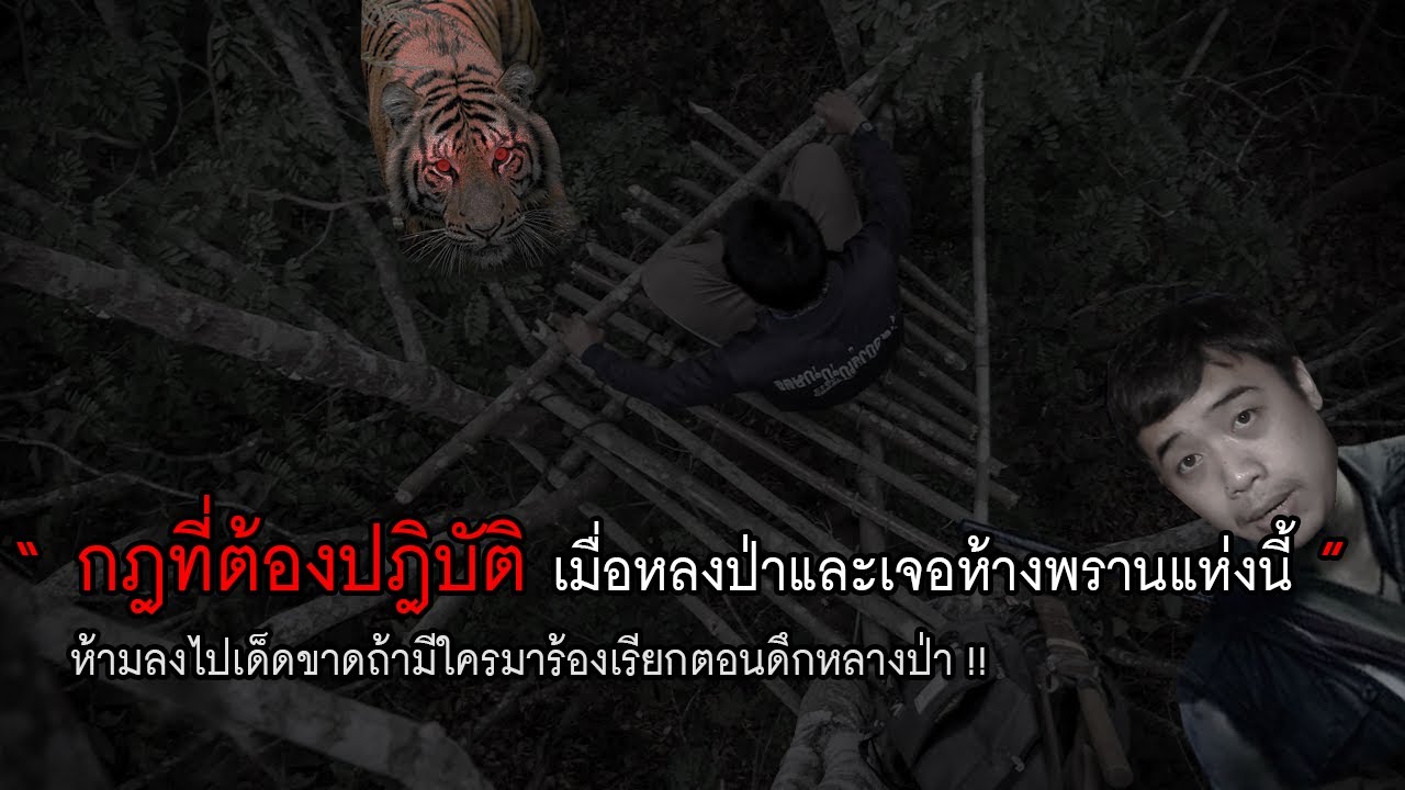 กฏข้อที่ 15 กฎที่ต้องปฎิบัติ เมื่อหลงทางในป่าและมาเจอ 