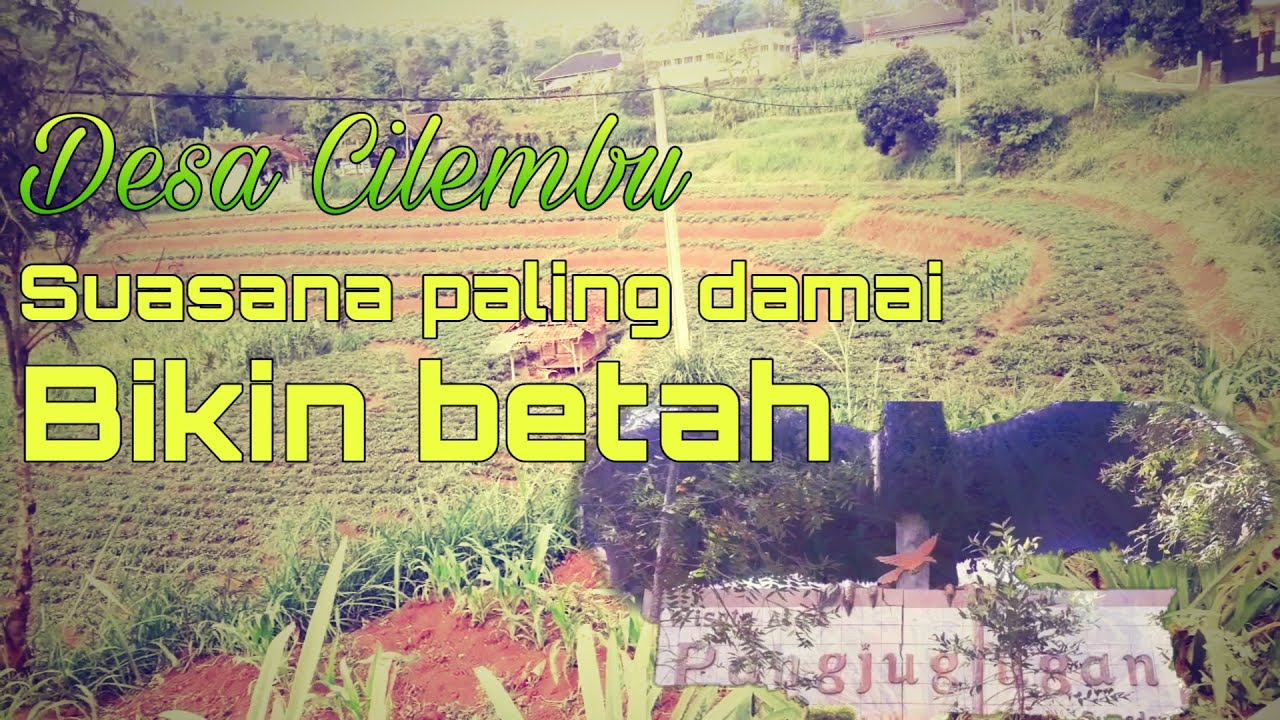 Suasana pedesaan yang tenang desa cilembu dan wisata alam pangjugjugan [Pamulihan Sumedang]