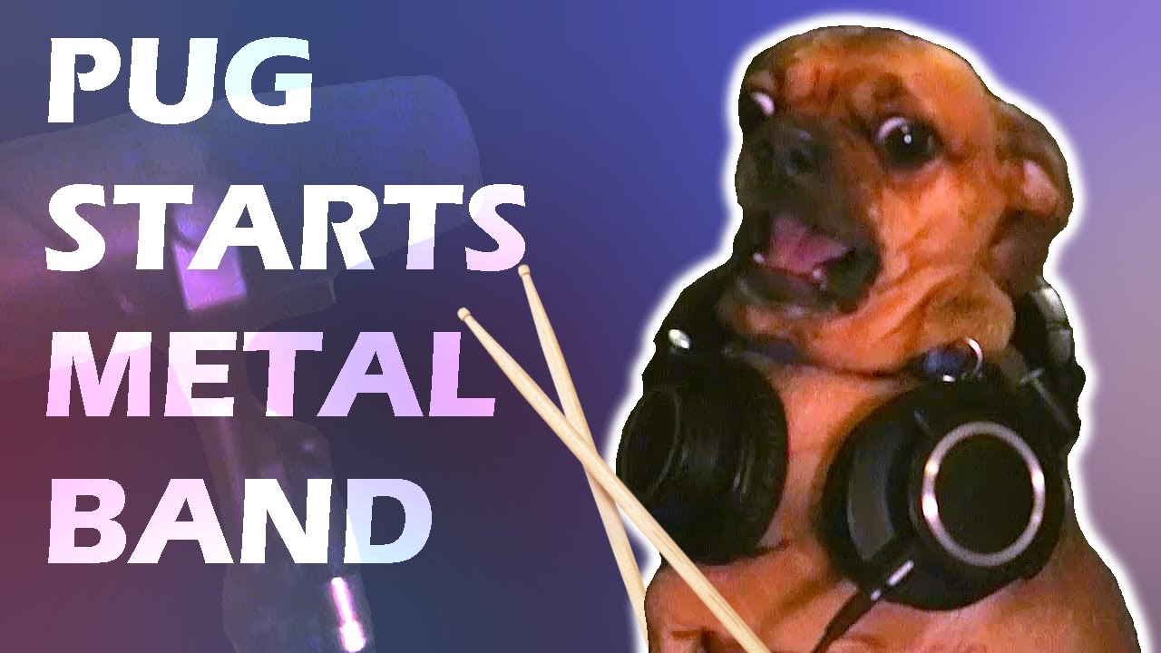 Dog Metal - The Bubbas - Who Poo Poo'd In My House?
