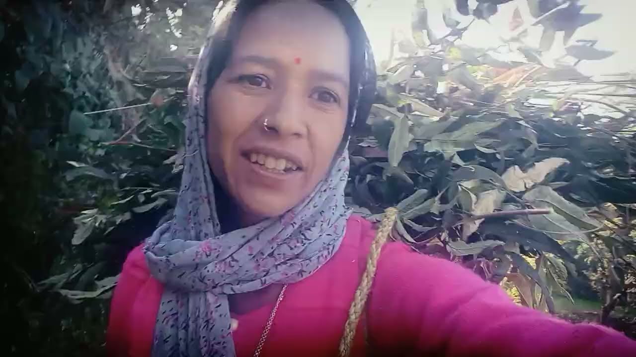 आज फिर से एक नया vlog 😊 pahadi lifestyle  घास काटने के साथ कुछ इस तरह आज का दिन 😱 पहाड़ियों का जीवन 