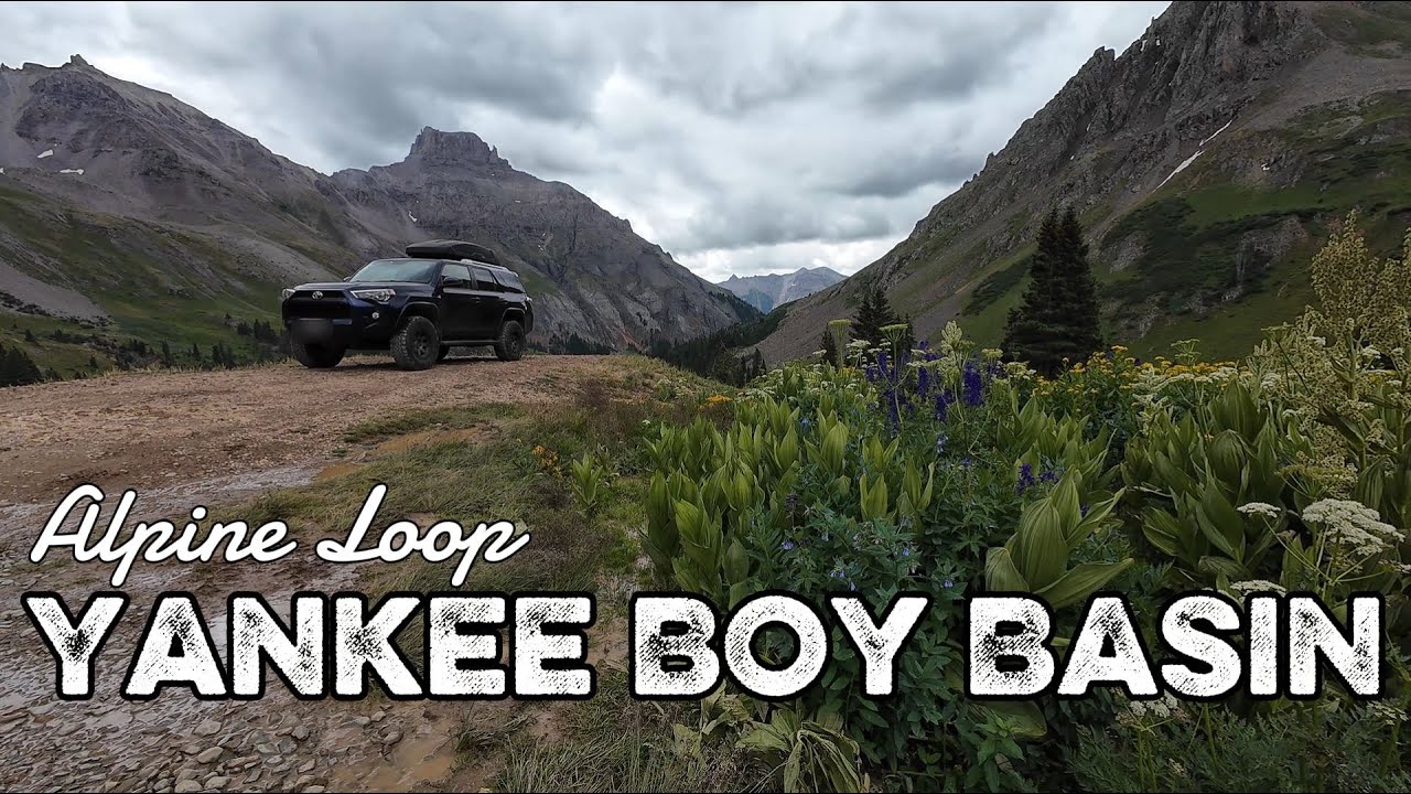 Yankee Boy Basin at its Peak! Alpine Loop in the Toyota 4Runner