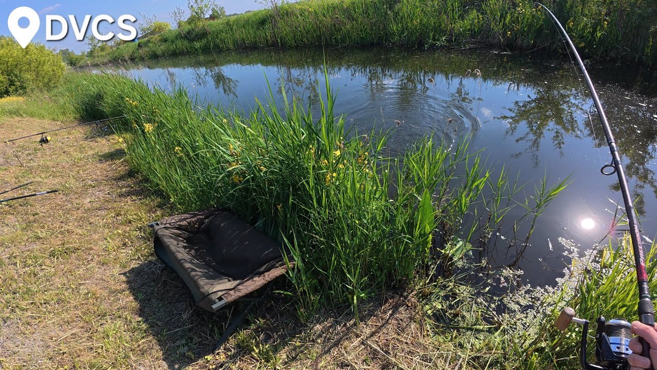 Vadvízi horgászat.Szép jászkeszeg és ponty a Duna-völgyi-főcsatornából./DVCS/ #fishing #carpfishing