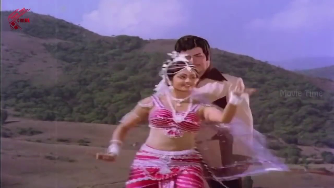 Aadave Raja Hamsa Video Song || vayyari bhamalu vagalamari bhartalu Telugu Movie || N.T.R,Sridevi