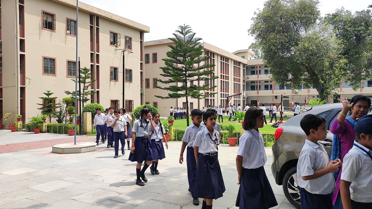 Tree distribution drive at ABN School, IIT Roorkee