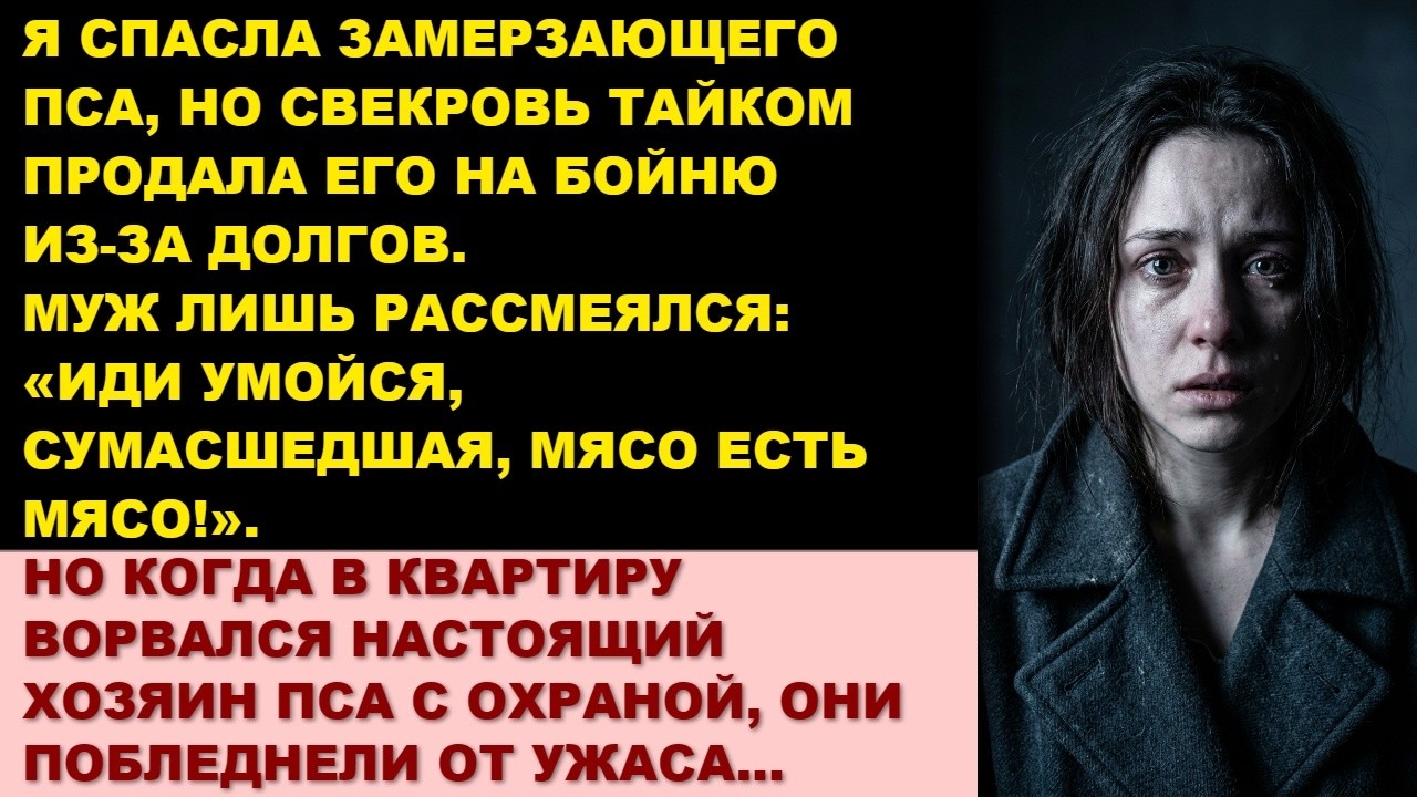 Свекровь продала пса на мясо из-за долга в 5 млн. Но она не знала, чей он на самом деле…