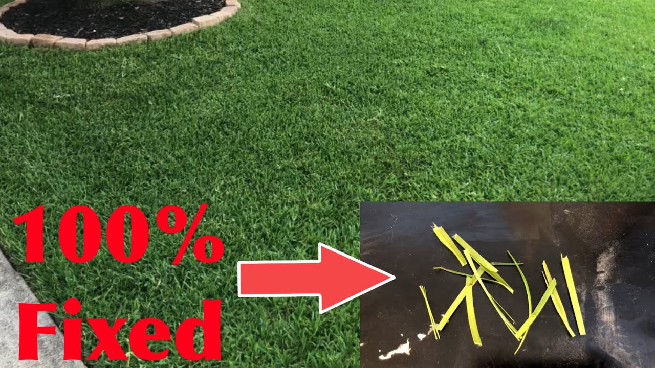 Yellowing Grass 100% FIXED