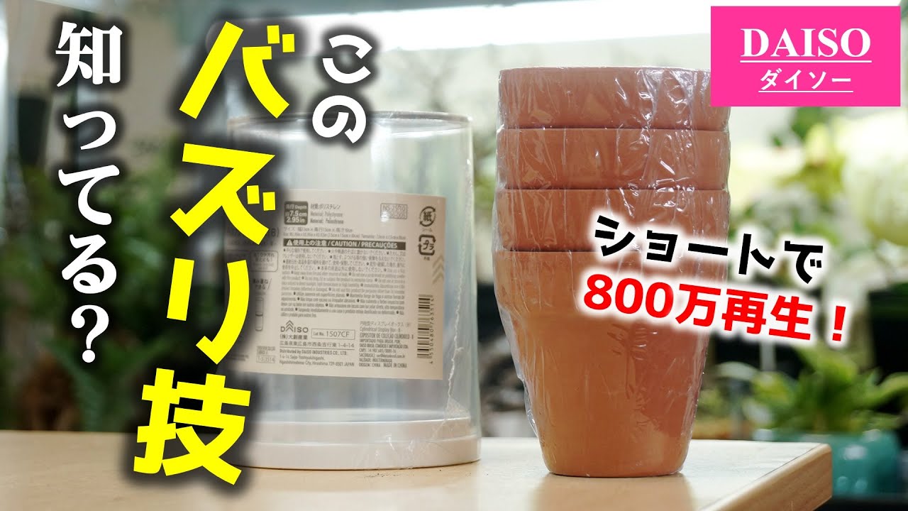 知らなきゃ損！100均の素焼き鉢大活躍&hellip;、海外で800万再生のバズリ技を手の平サイズに再現♪【観葉植物・苔テラリウム】