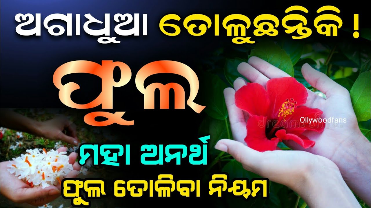 ( ଫୁଲ ତୋଳିବାର ନିୟମ ) ଅଗାଧୁଆ ଫୁଲ ତୋଲୁଛନ୍ତିକି, ସର୍ବନାଶ ହେବ | Odia Anuchinta#Sadhubani#Vastutipsodia