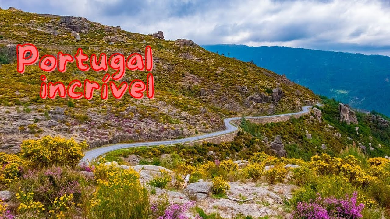 INCRÍVEL vida selvagem serras de PORTUGAL | Gerês,Estrela...
