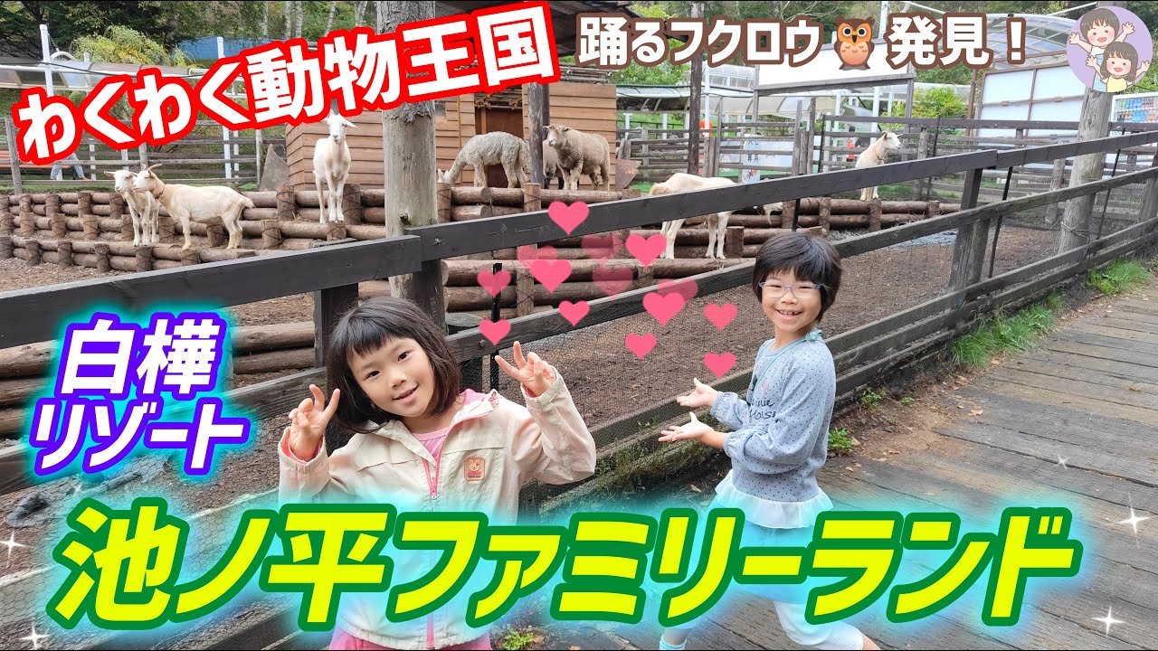 踊るフクロウかわいすぎ！【池ノ平ファミリーランド】