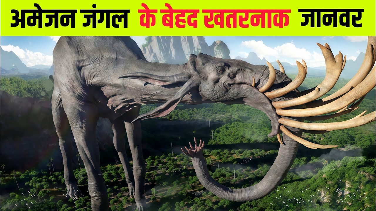 अमेजन जंगल को पूरा क्यों नहीं खोजा गया ?