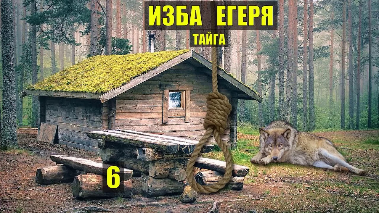 ИСТОРИИ из ЖИЗНИ РАССКАЗЫ ЛЕСНИКА ЖИЗНЬ МЕДВЕДИ ВОЛКИ в ЛЕСУ СЕРИАЛ ВСЕ СЕРИИ