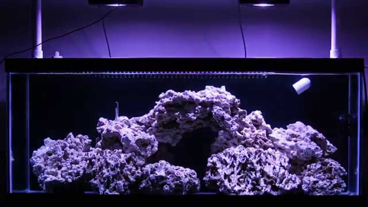 Radion XR15w Pro