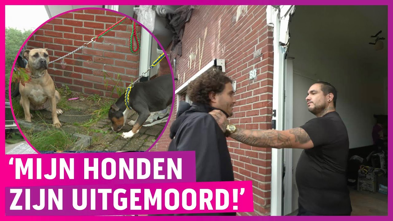Gezinsdrama na slepende burenruzie: ‘Ziek van de stress!’
