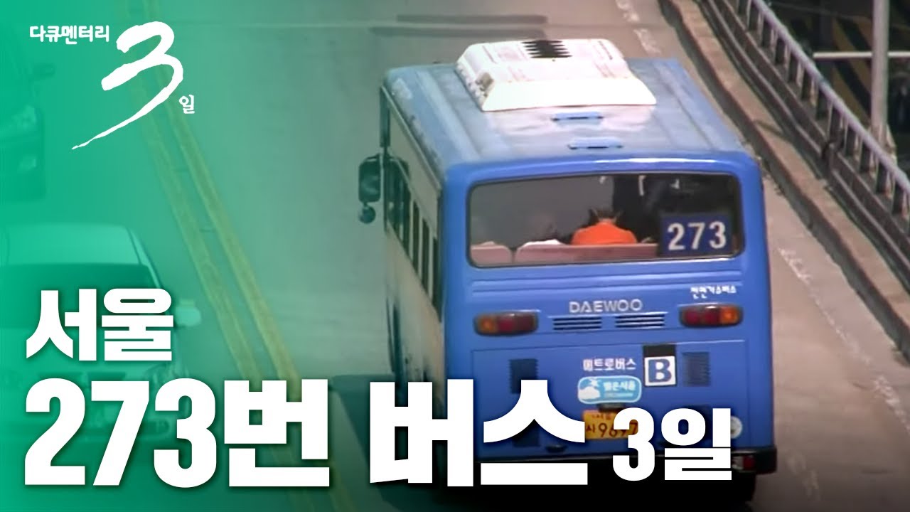 [다큐3일] 273번 버스의 3일 