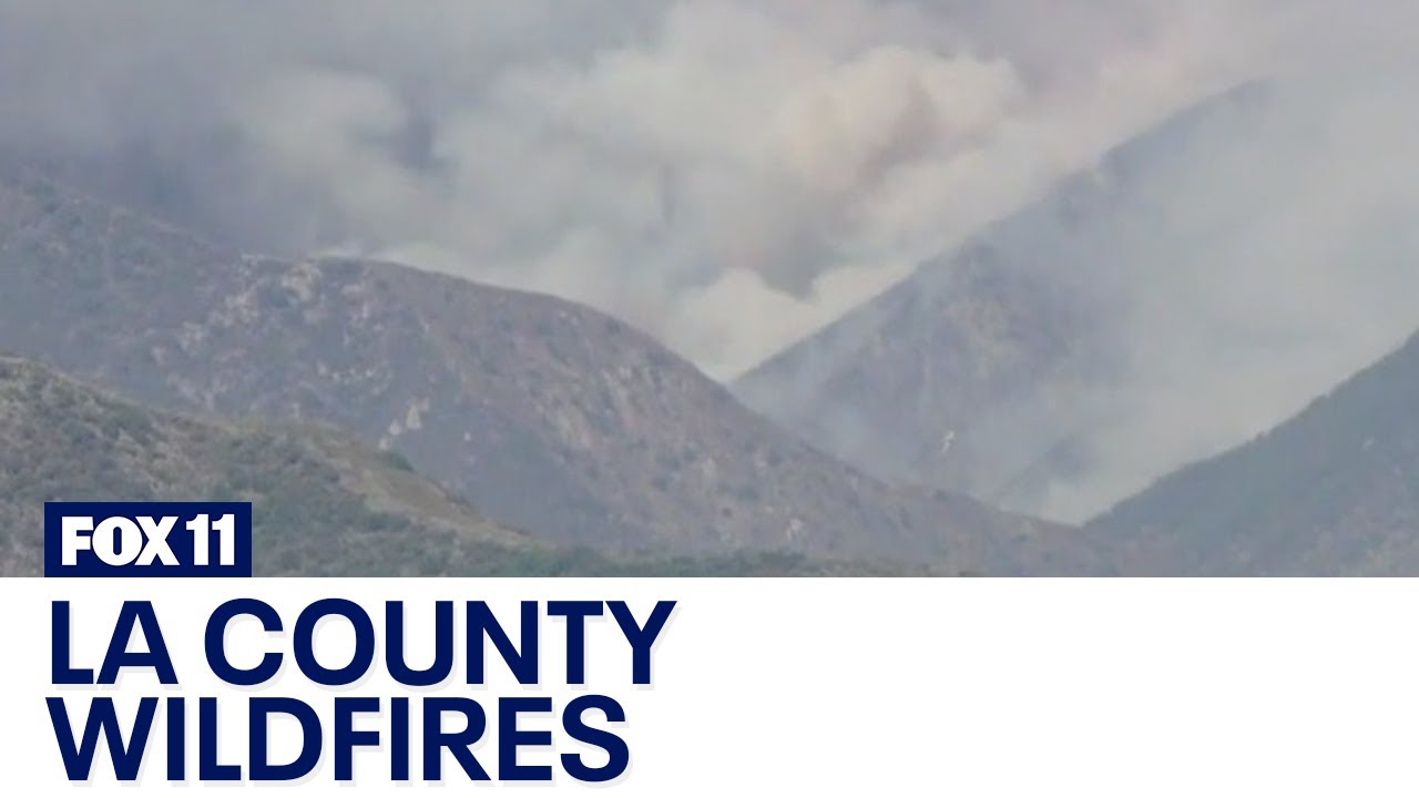Multiple wildfires burn across Los Angeles County