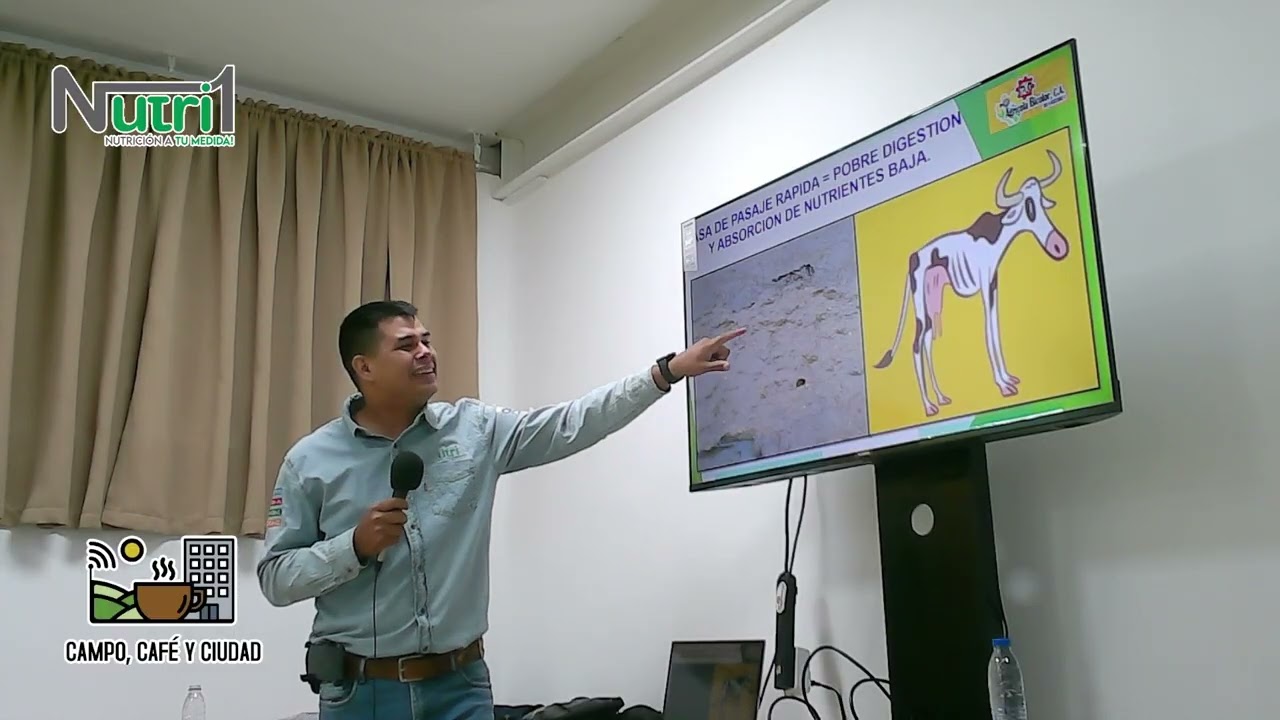De la Pastura al rumen: uso de imágenes RGB y minerales proteinados en bovinos - Nutri1