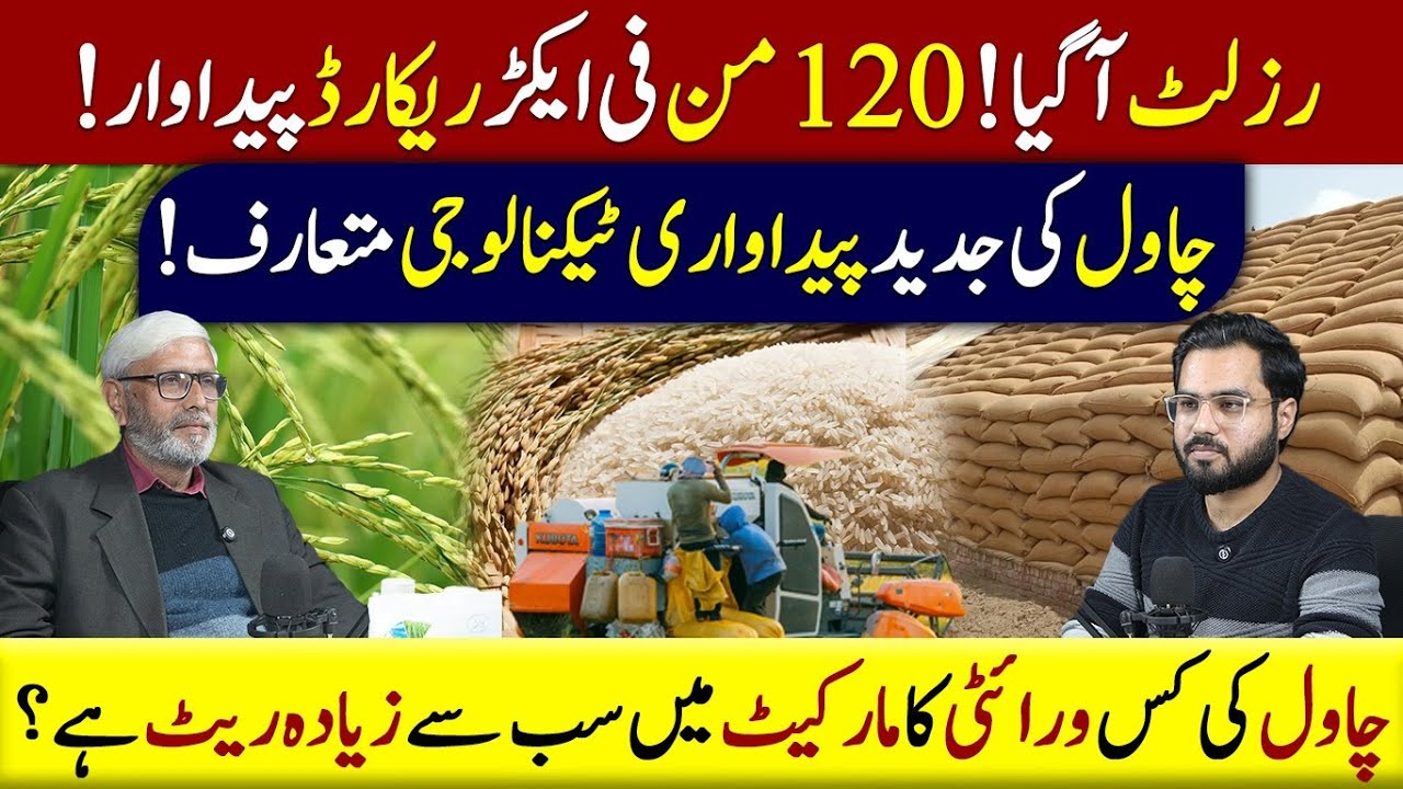 How To Get 120 Maund Per Acre Yield? Rice Production Technology 2026 | FRP | AgriCast EP 46