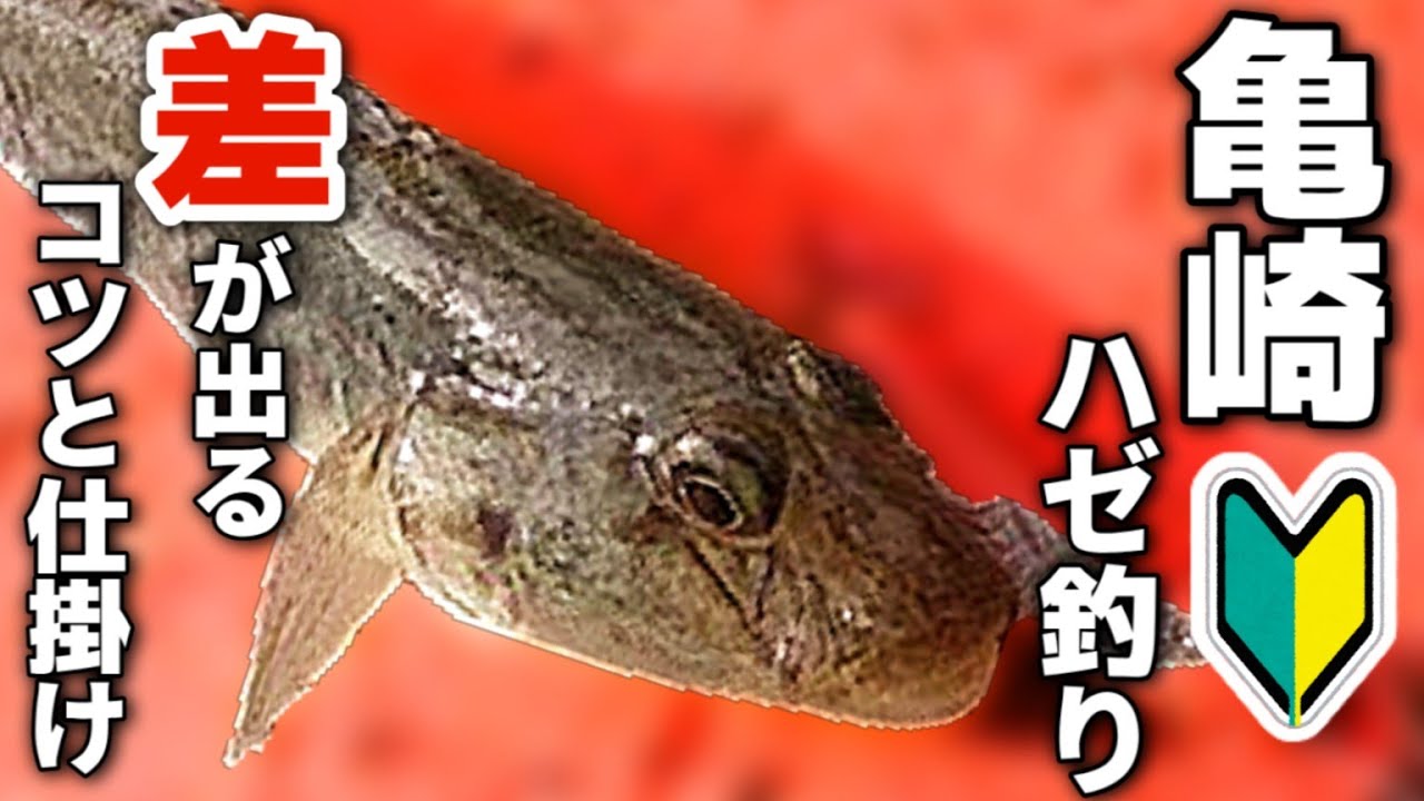 【愛知県釣り】初心者歓迎！釣具屋じゃ教えてくれないハゼ釣りのコツと仕掛けを丁寧解説　#釣り