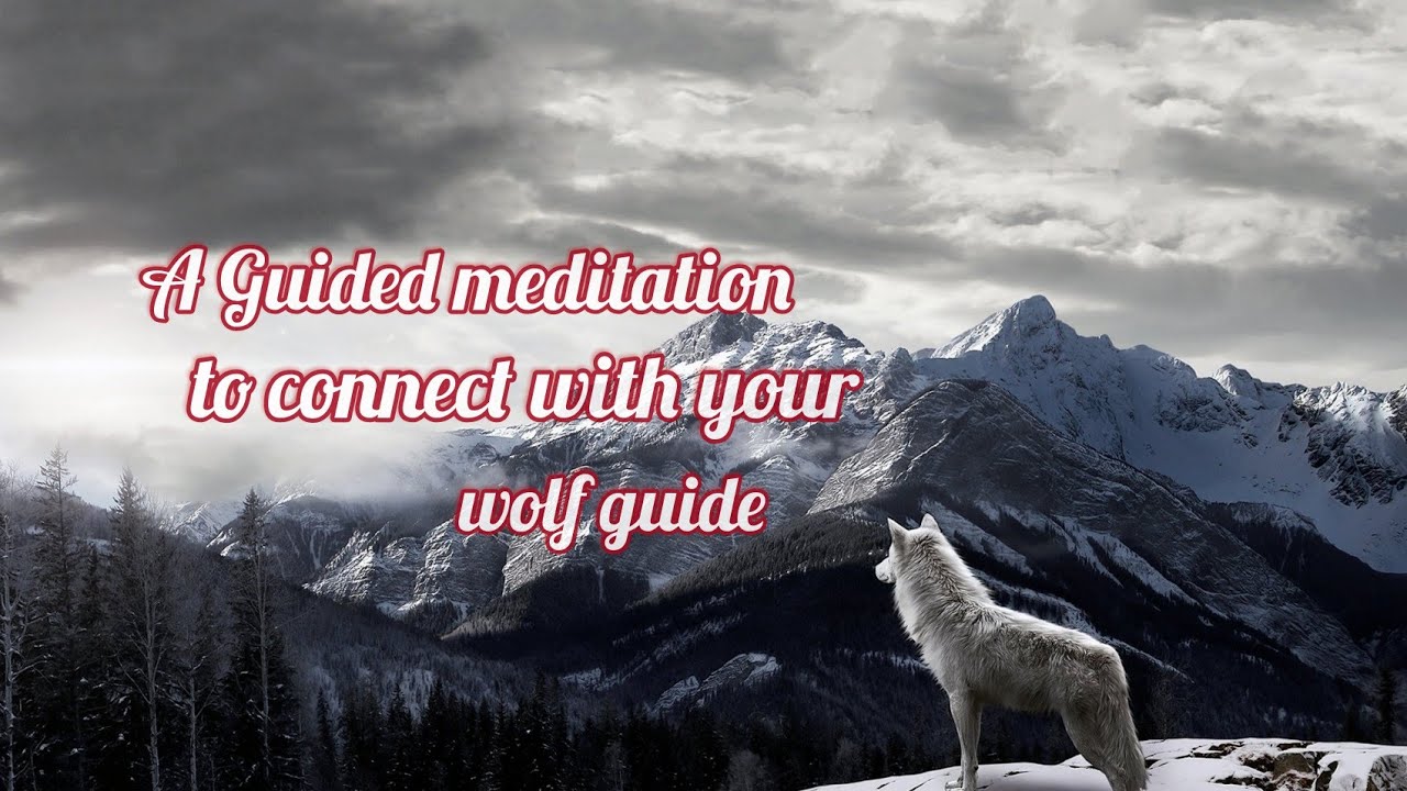 Guided Meditation To Connect To Your Wolf Animal Spirit Guide ∆ Totem 🐺 Black screen meditation