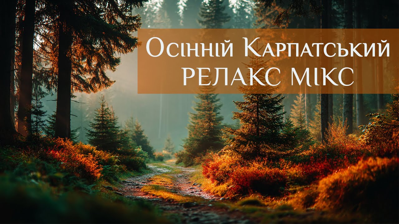 🍂 Осінні Карпати 🌲 1 година фонової музики для роботи, навчання, медитацій, сну