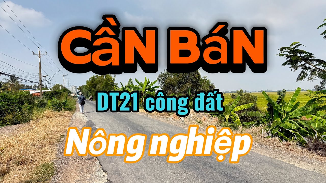 Cần bán 21 công đất giá 115 triệu 1 công đất huyện thạnh Hóa tỉnh Long An