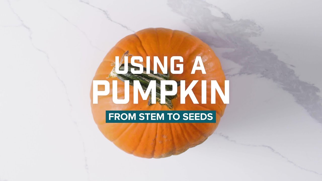 How to Use a Pumpkin from Stem to Seeds