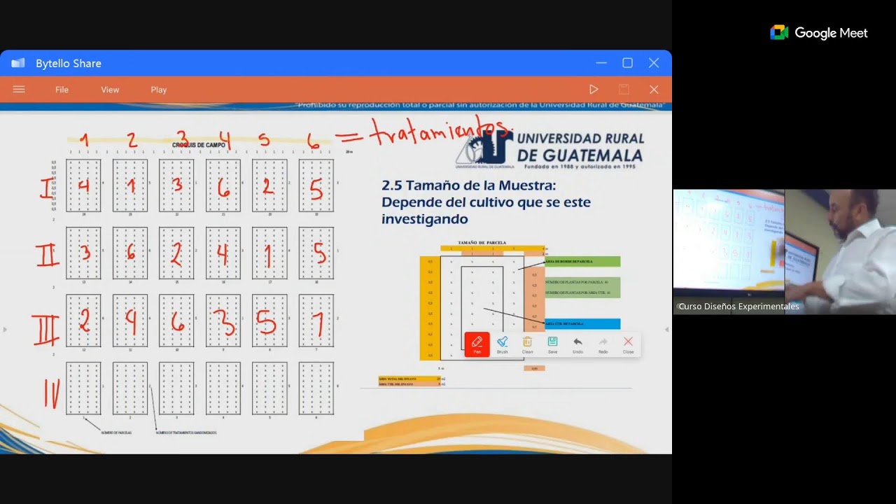 Semana 2. Domingo