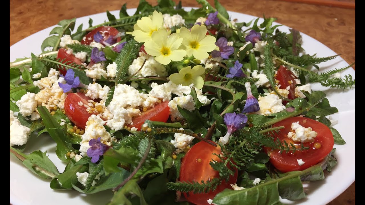 Сбор дикоросов в апреле. Салат из одуванчиков.