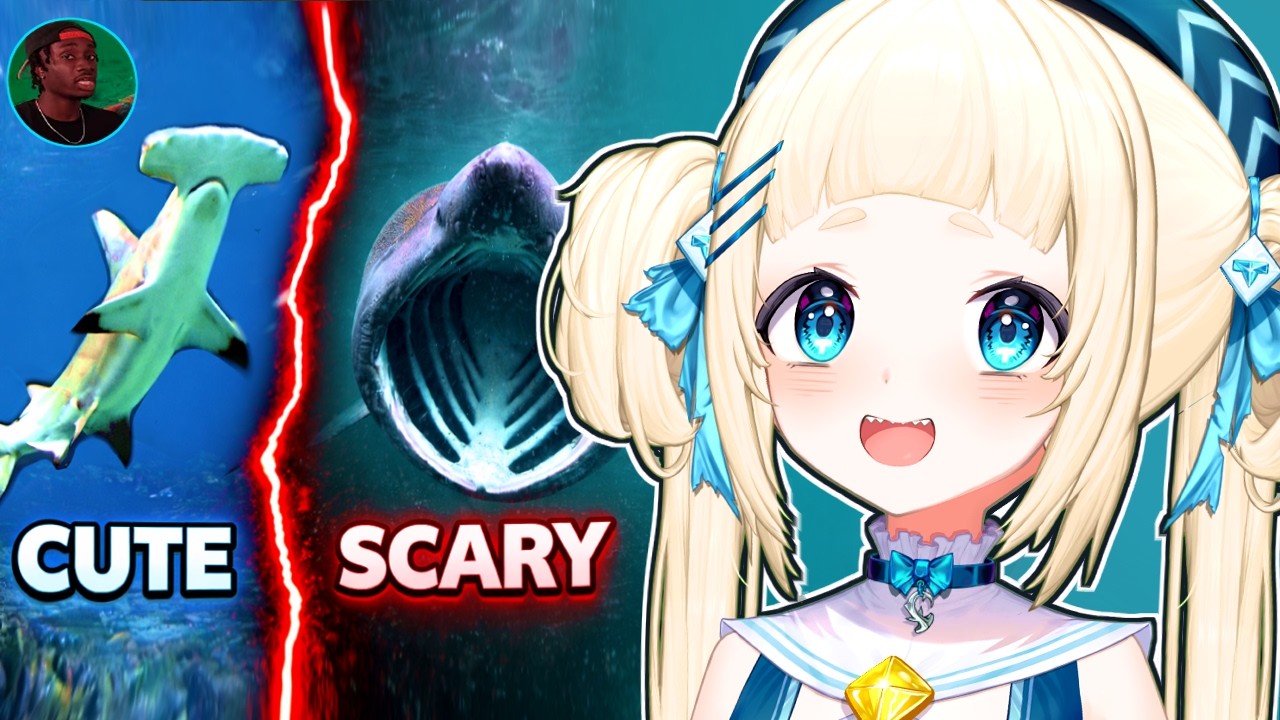 SHARKS ARE THE BEST! Hammerhead Shark Vtuber Reacts to Casual Geographic