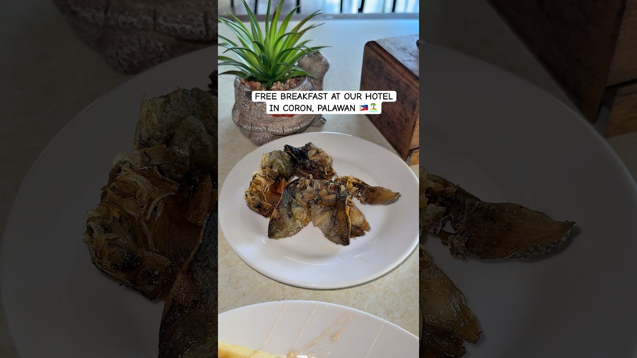 FREE BREAKFAST WITH AT OUR HOTEL IN CORON, PALAWAN 🇵🇭🏝️ 