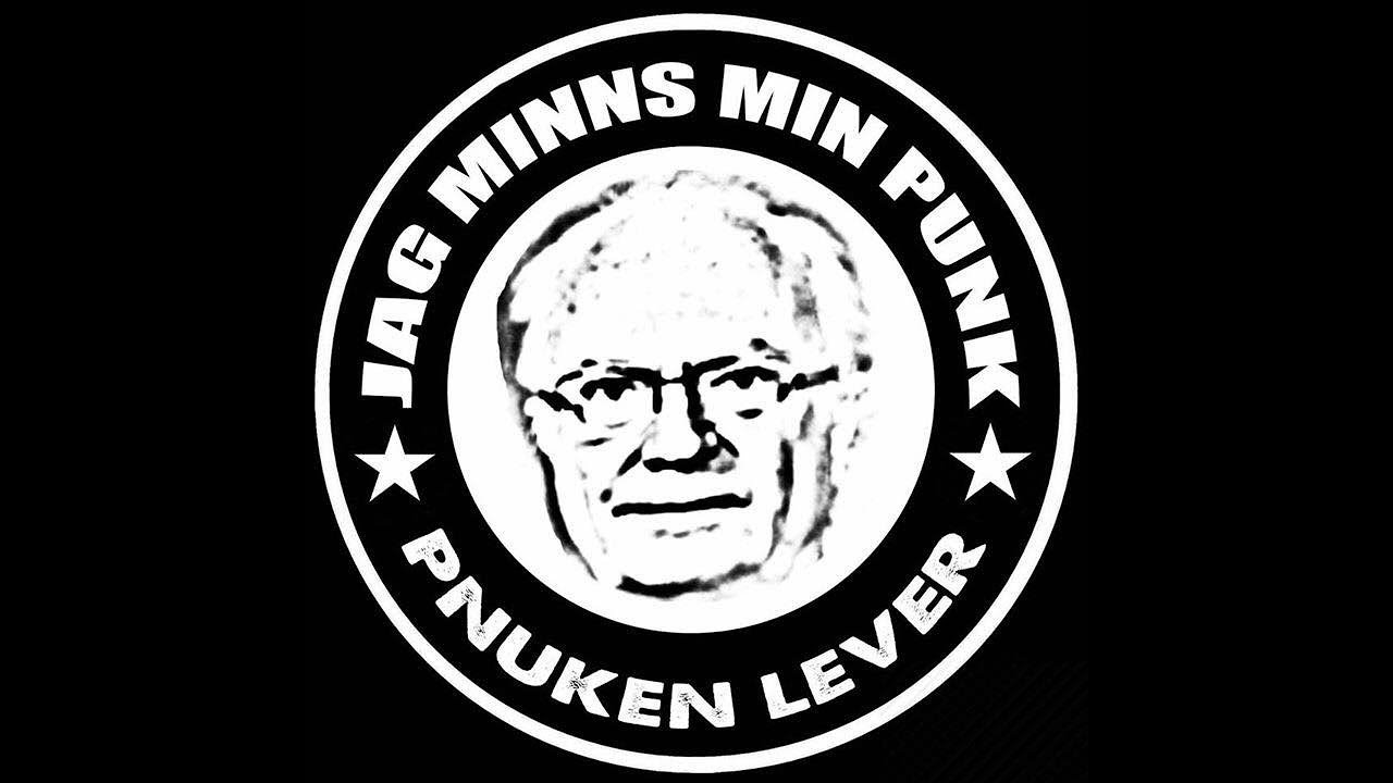 Jag Minns Min Punk Trailer 2018