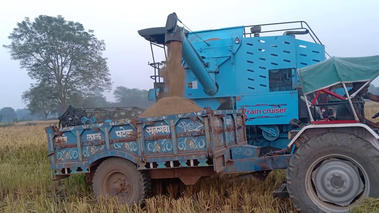 Punni combine harvester