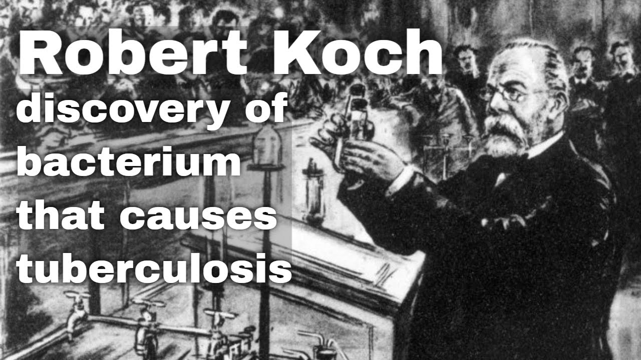 24 marca 1882: Robert Koch ogłasza odkrycie bakterii wywołującej gruźlicę