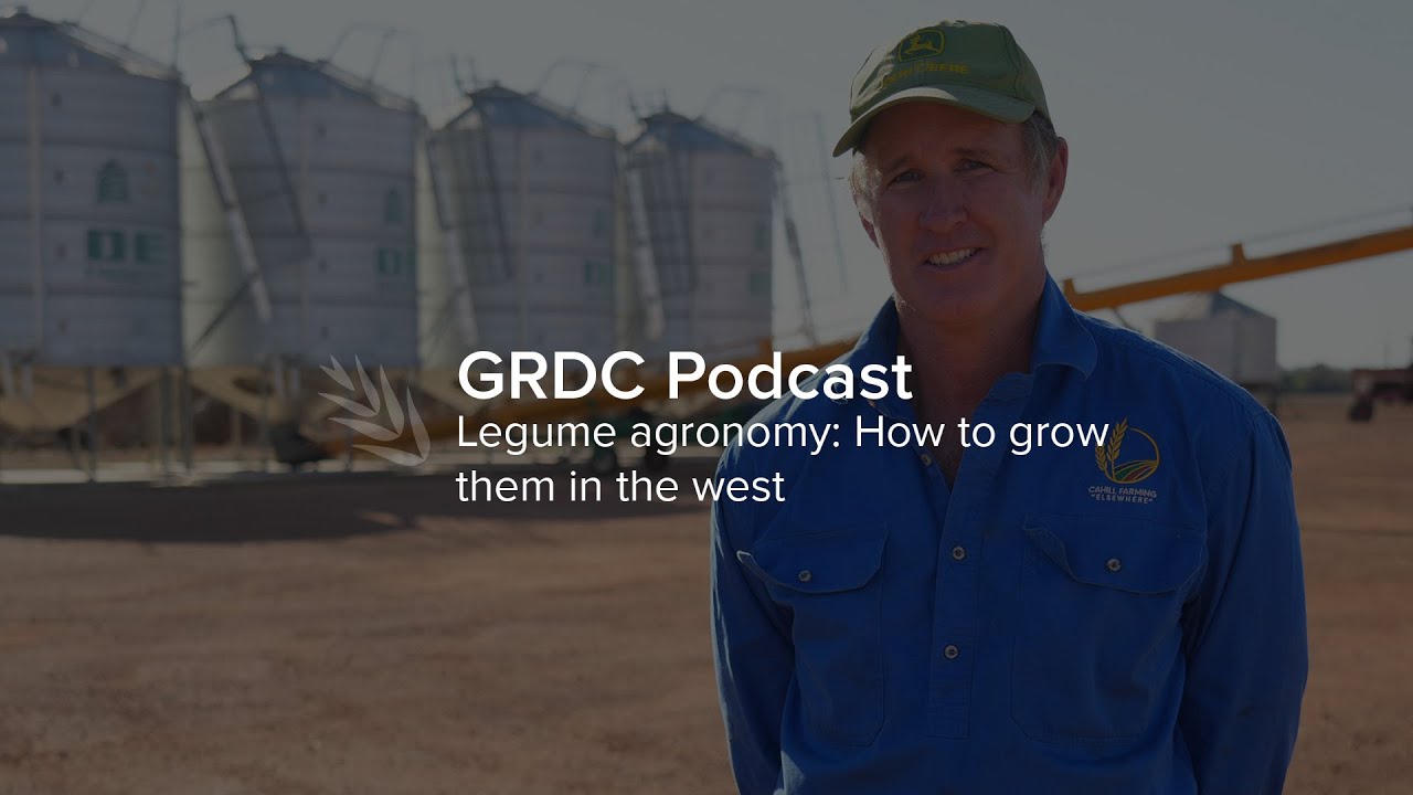Legume agronomy: How to grow them in the west