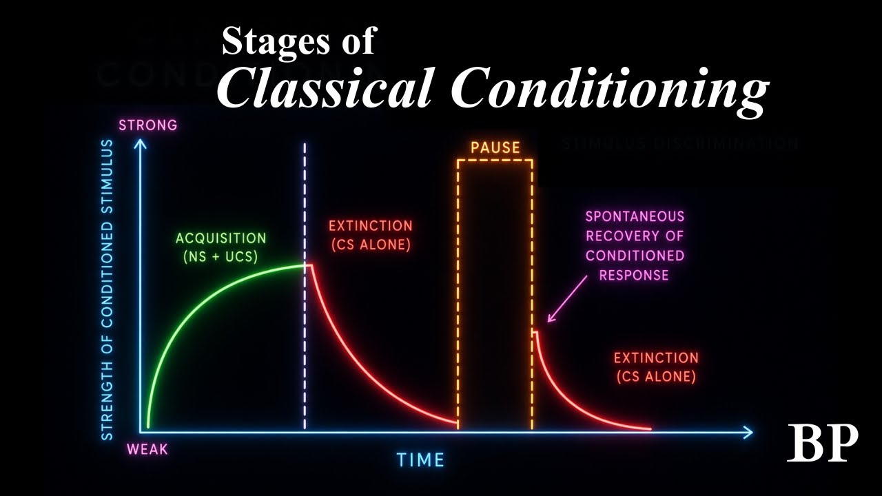 Classical Conditioning-Acquisition, Extinction,Spontaneous Recovery, Generalisation & Discrimination
